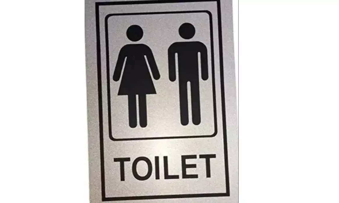 60% of Indians think toilet is worst area when it comes to harbouring viruses