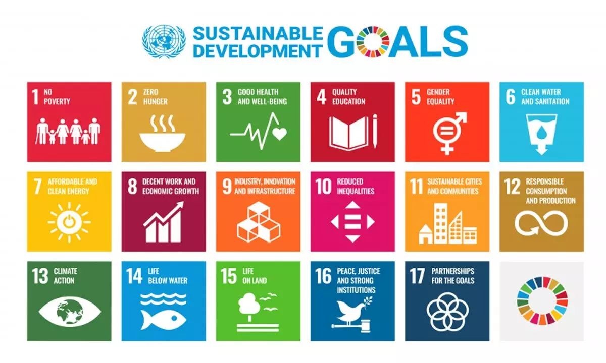 Achieving sustainable development goals must be India’s priority