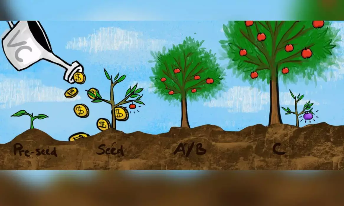 Road to success for seed funded startups is rocky