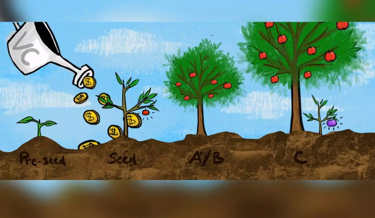 Road to success for seed funded startups is rocky Road to success for seed funded startups is rocky