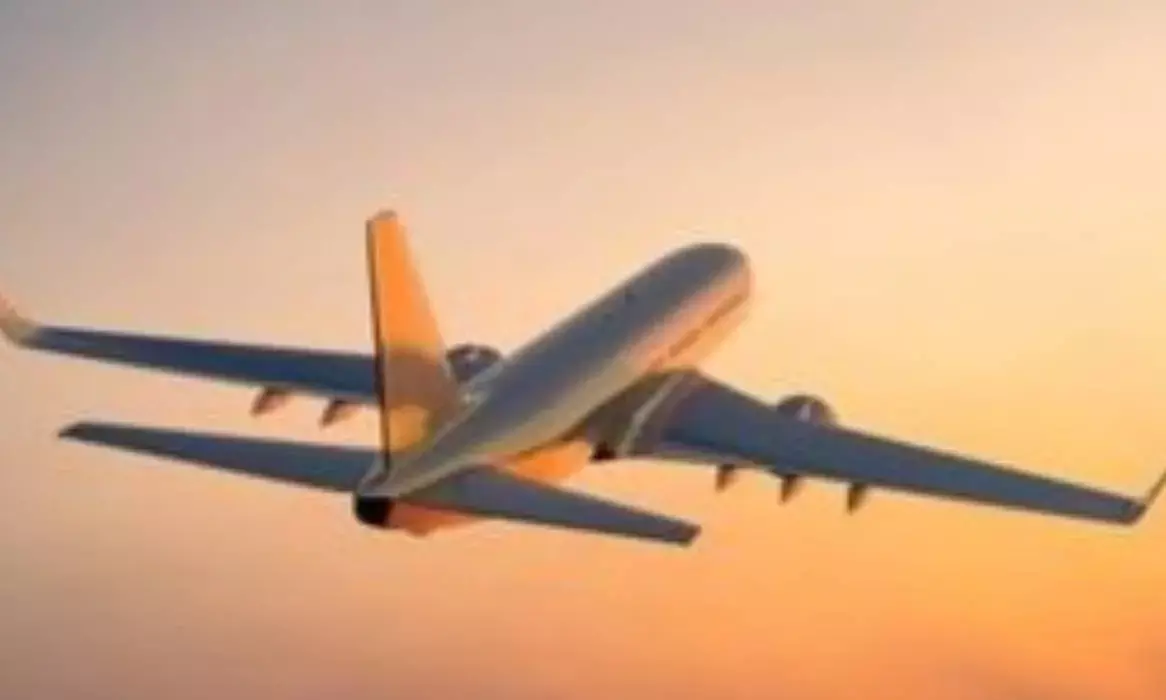 DGCA asks airlines, airports to increase women staff to 25 pc of workforce