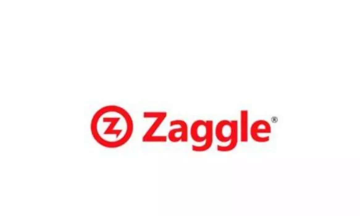 Zaggle launches expense automation platform for biz