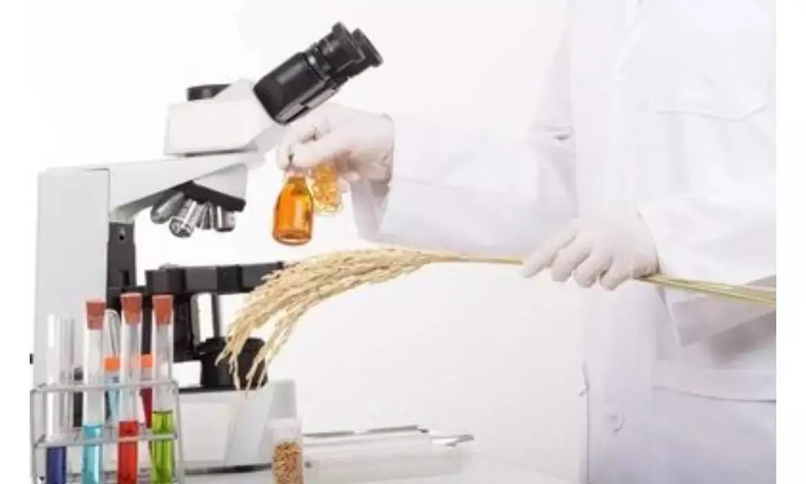 Labs key to ensure fortified rice quality