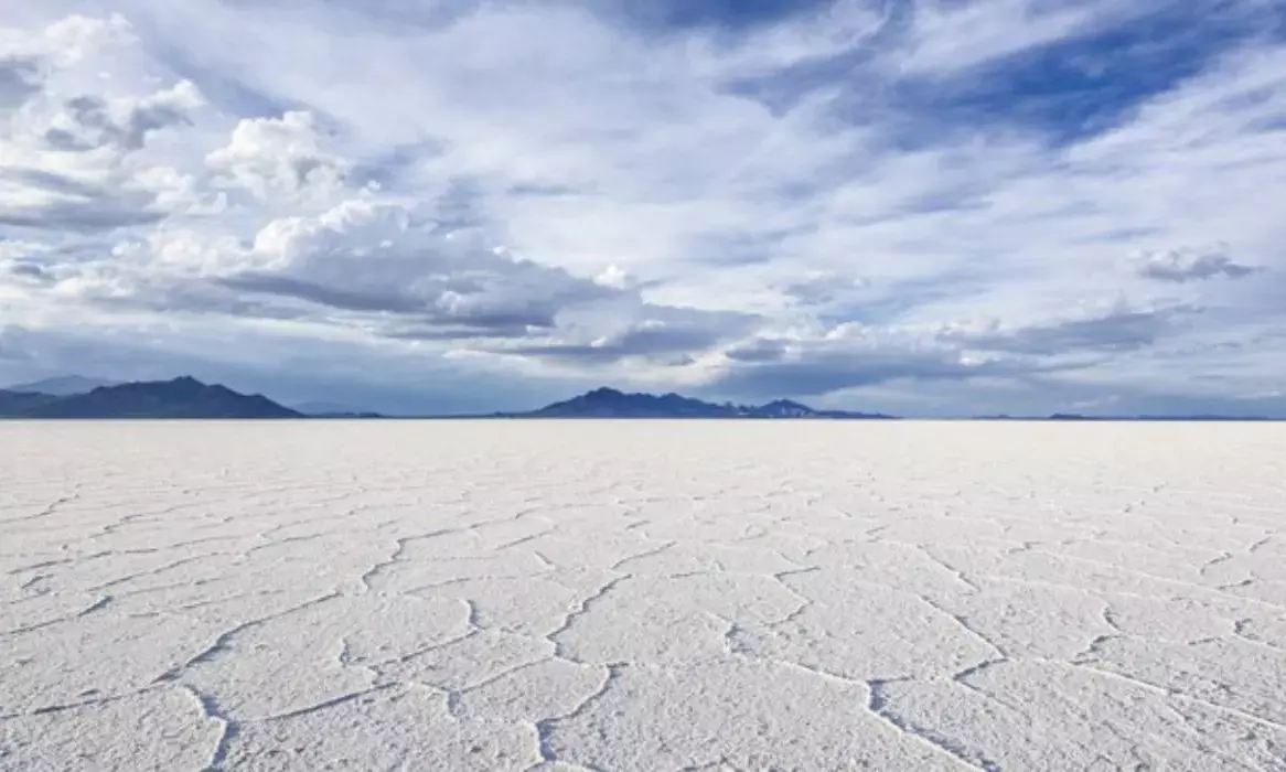 States eye salt lands