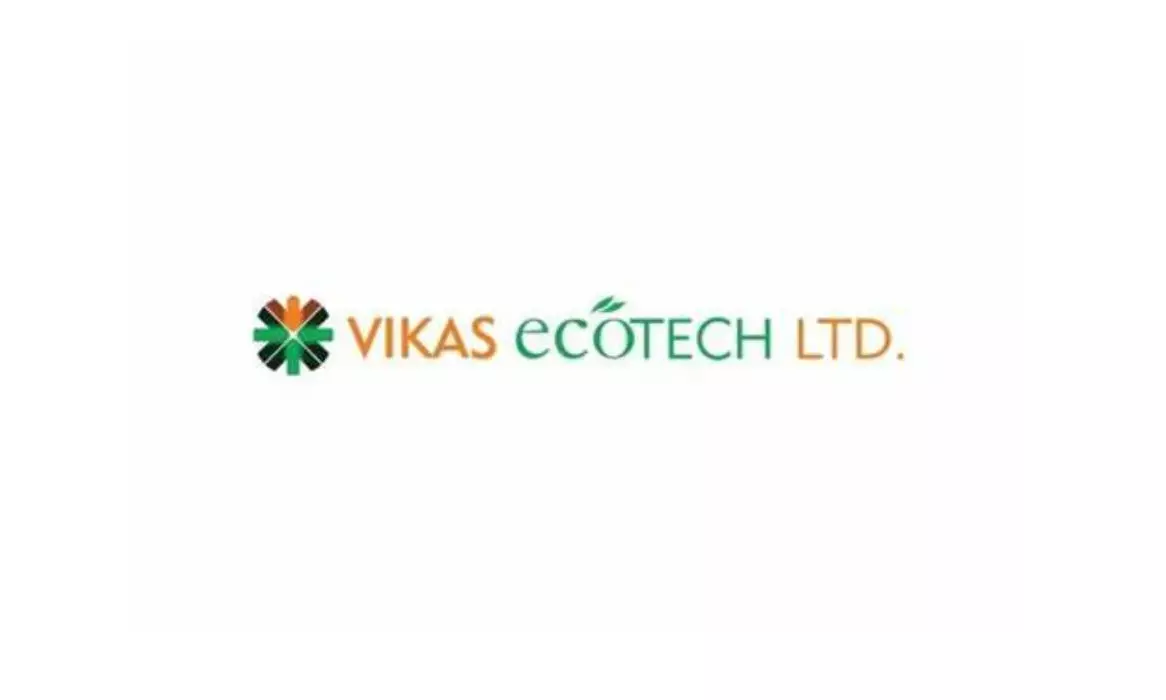 Vikas Ecotech clears Rs 101cr dues