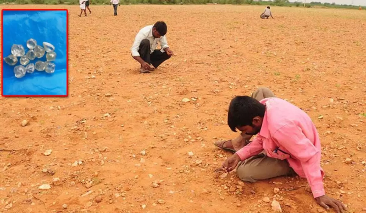 Diamond hunting starts in Andhras Rayalaseema region