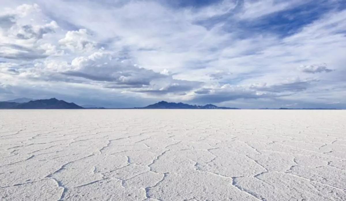 States eye salt lands