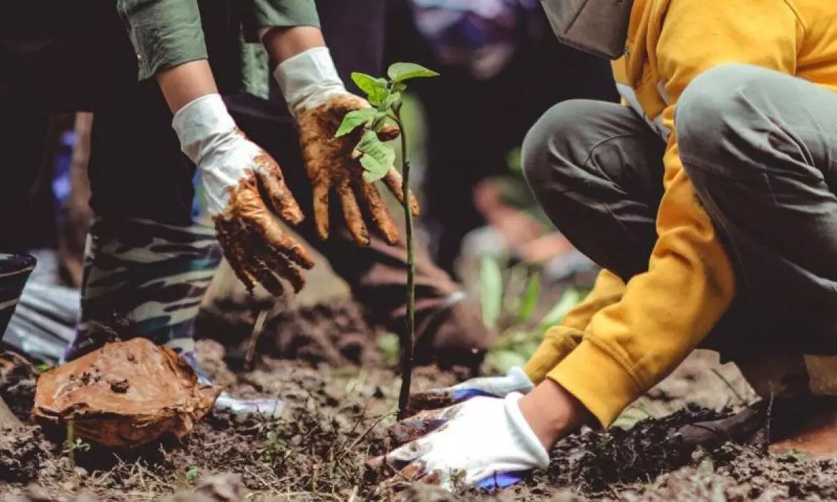 Every ‘concerned’ person can help combat climate change