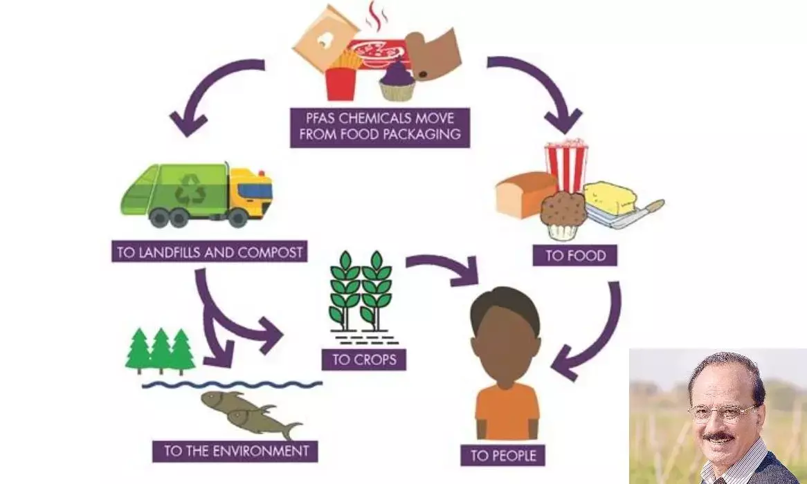 Beware of latent pesticides when you have your next bite
