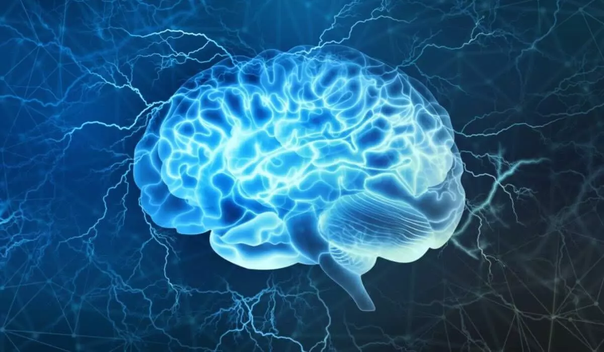 Alzheimer therapy market to reach $13.7bn by 2030 Alzheimer therapy market to reach $13.7bn by 2030
