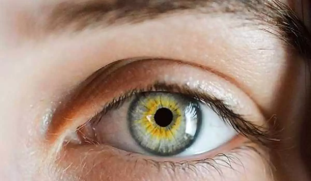 Indian-made ‘liquid cornea’ to soon be tested on humans Indian-made ‘liquid cornea’ to soon be tested on humans