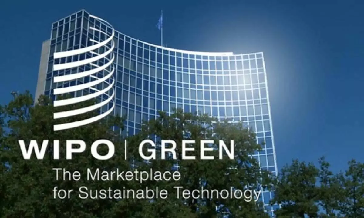 NRDC joins WIPO Green to promote sustainable tech