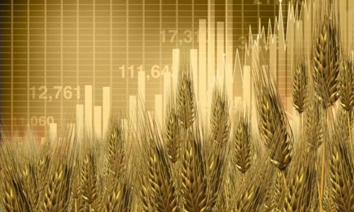 Wheat prices rise despite stock limit