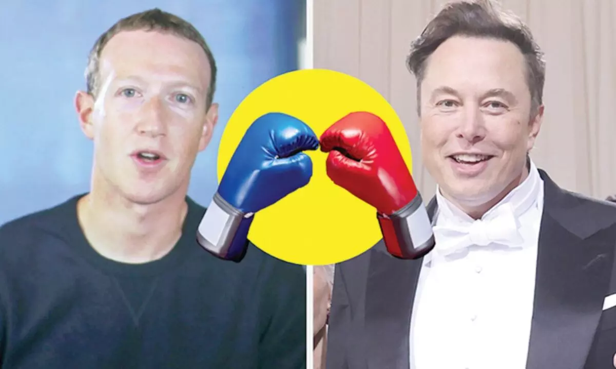Musk-Zuckerberg cage fight axed by Elon’s mom