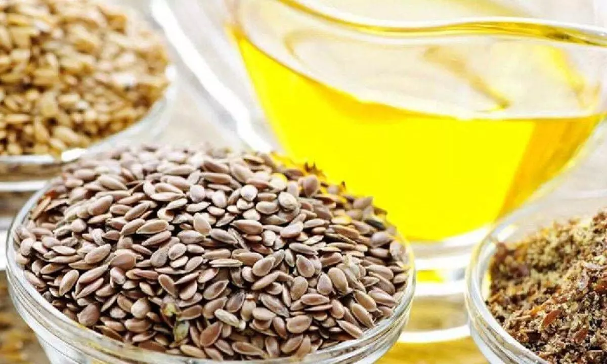 Oilseed exports may grow 15% this fiscal
