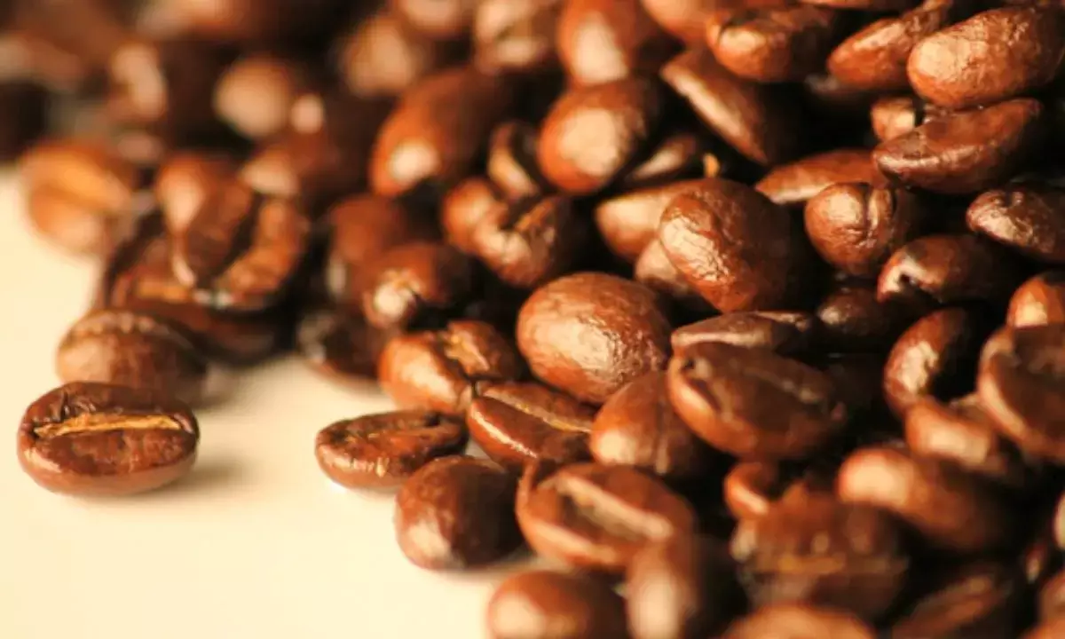 Rs400-cr new plant in AP