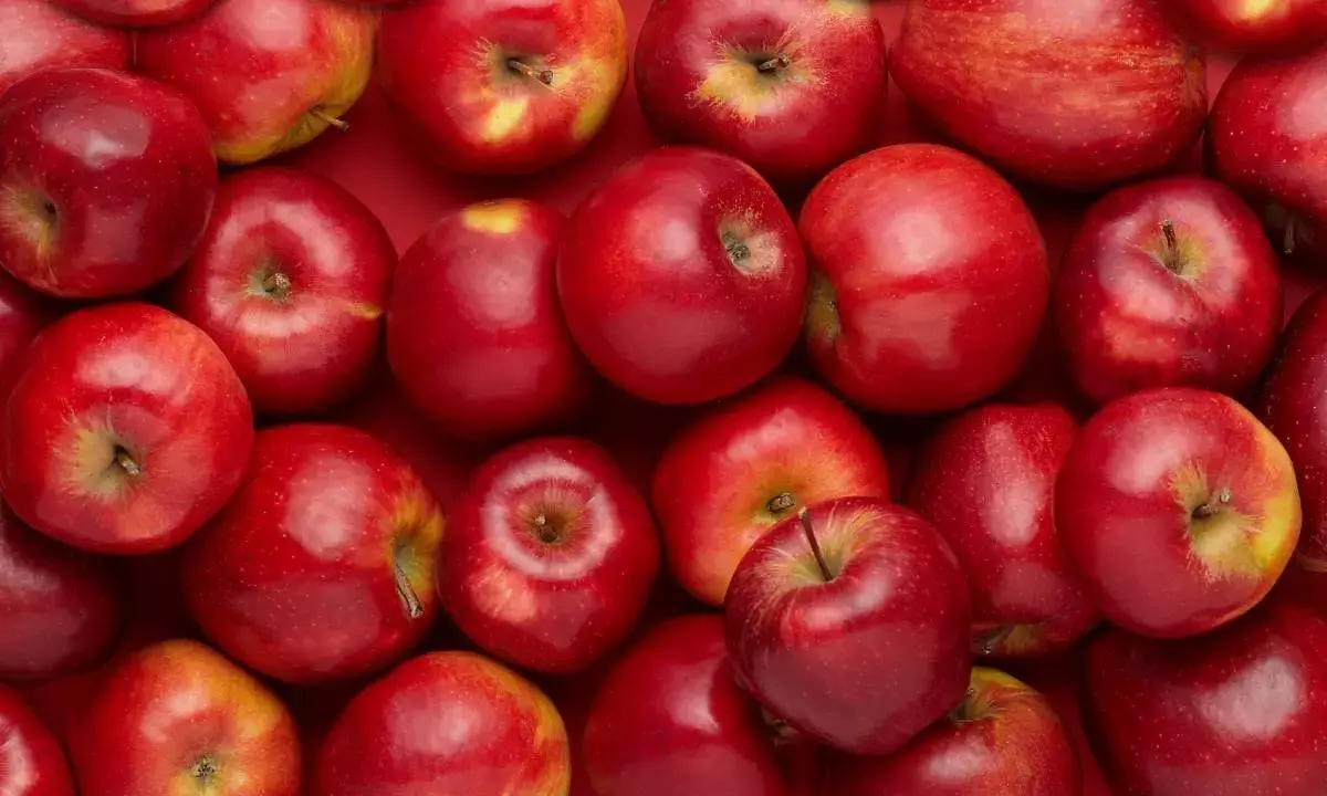 Decision to cut import duty on US apples will harm Himachal farmers