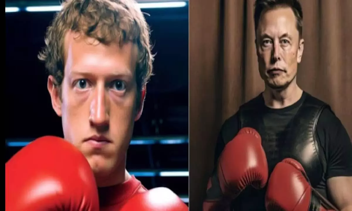 Musk, Zuckerberg gear up for jiu jitsu fight