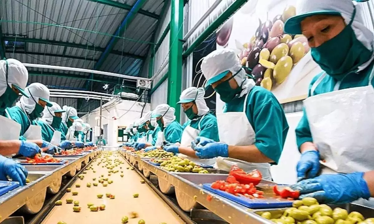 Govt goes for WGA to boost food processing