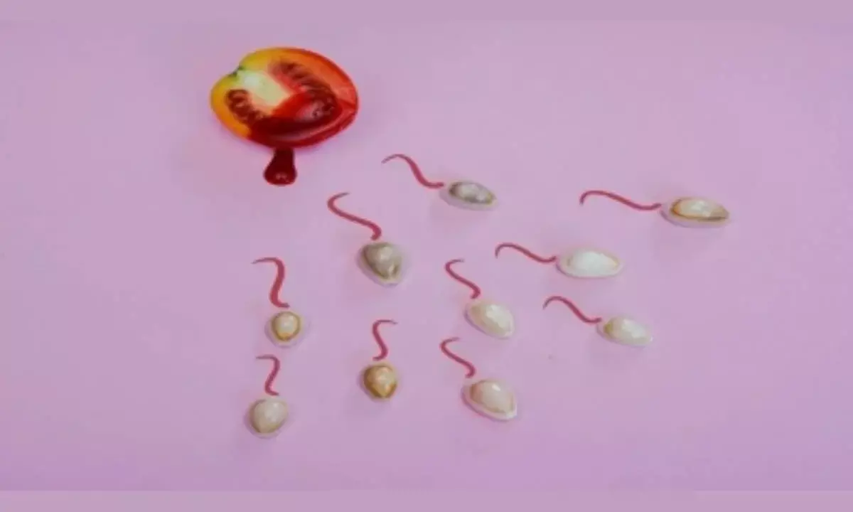 Endometriosis linked to reduction in fertility: Study