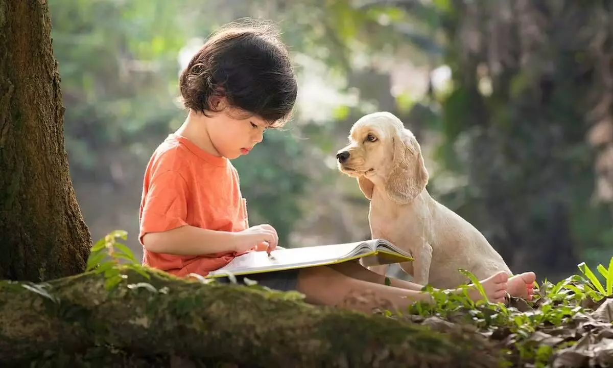 Poverty can harm brain development, but reading can help Poverty can harm brain development, but reading can help