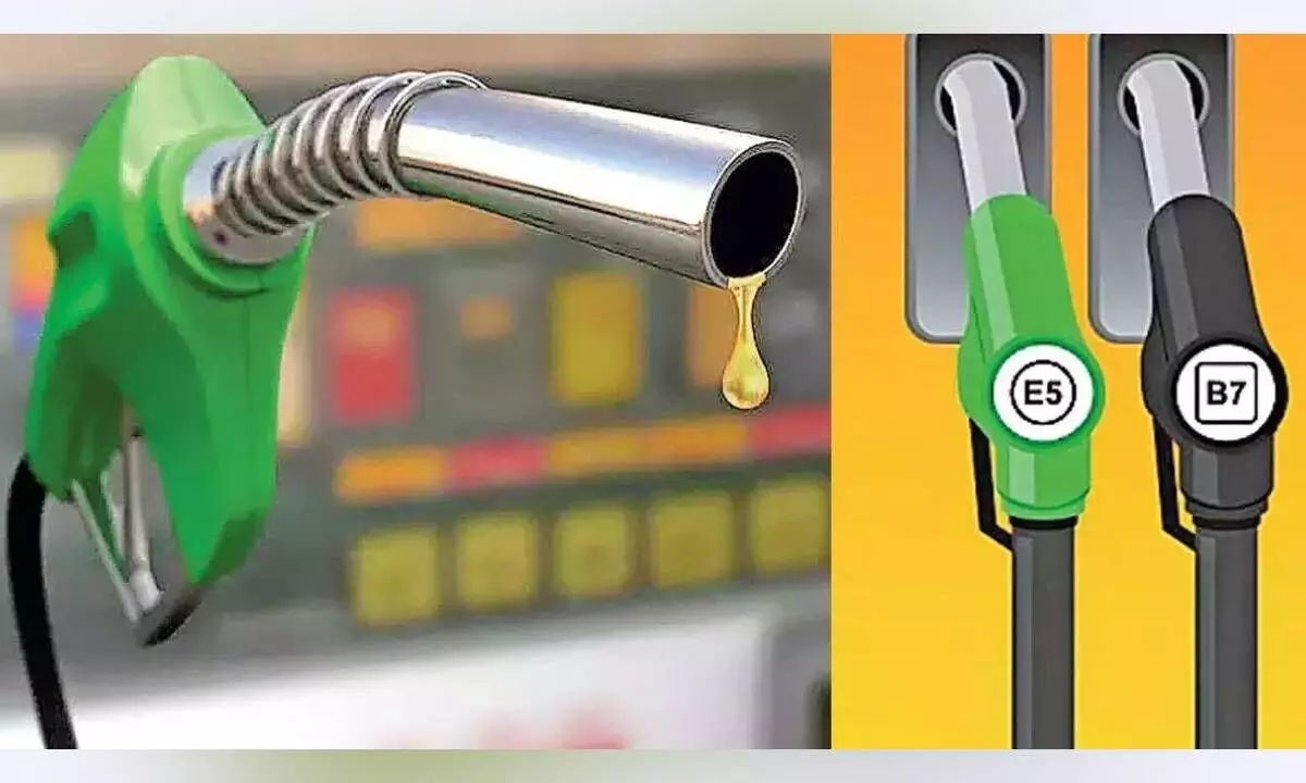 Diesel and Petrol
