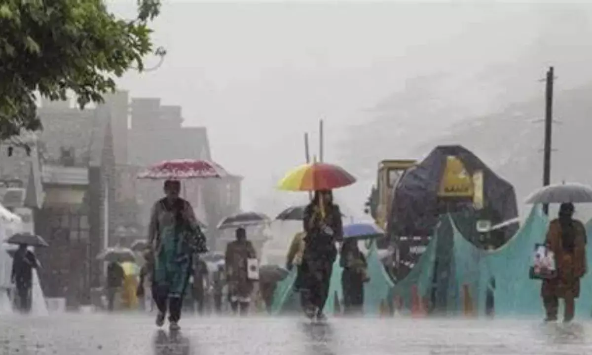 Hyderabad Rain Update: IMD Issues Red Alert for Telangana Districts
