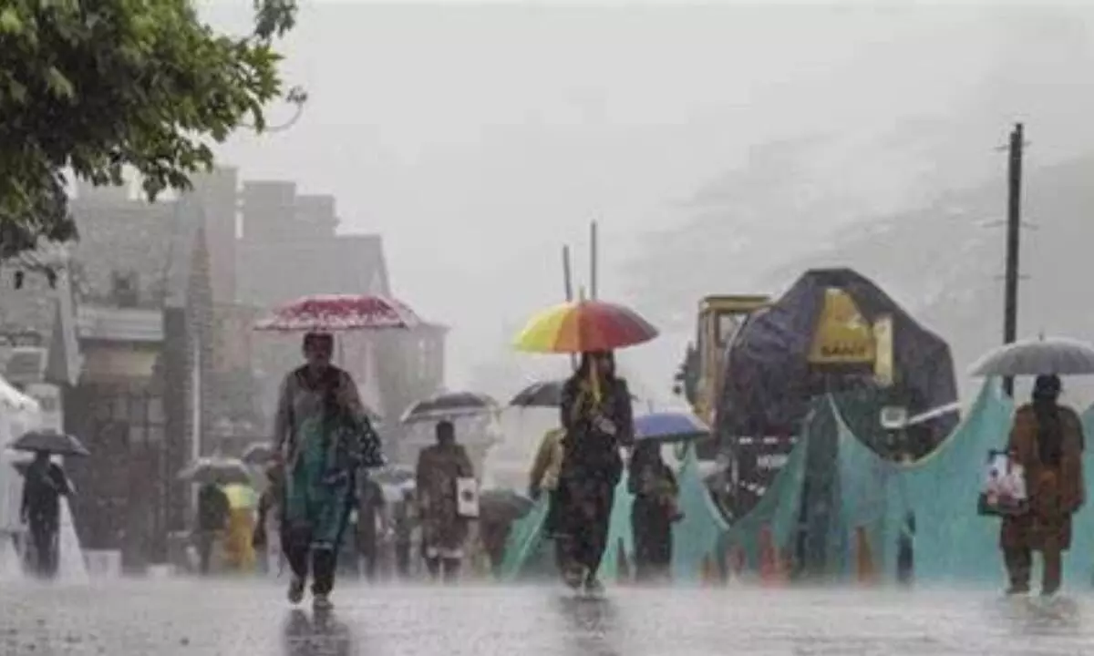 Heavy rains hit N India
