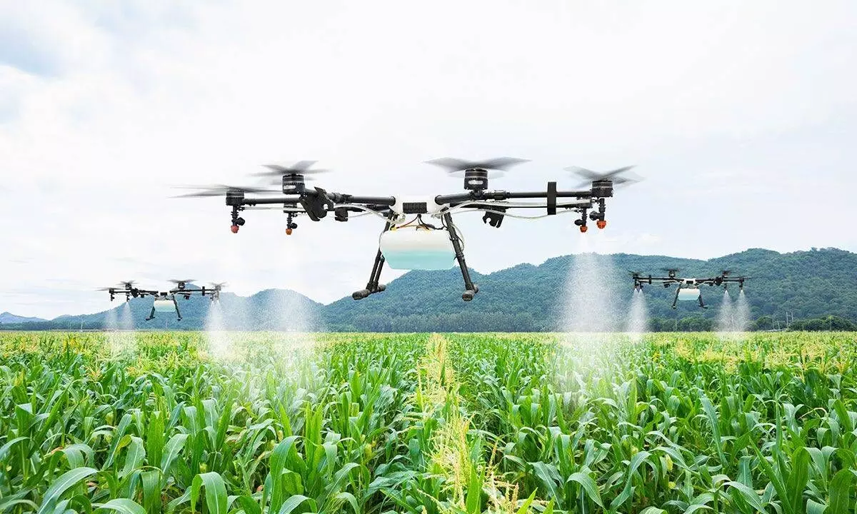 Drones can boost agriculture output and revolutionise the sector