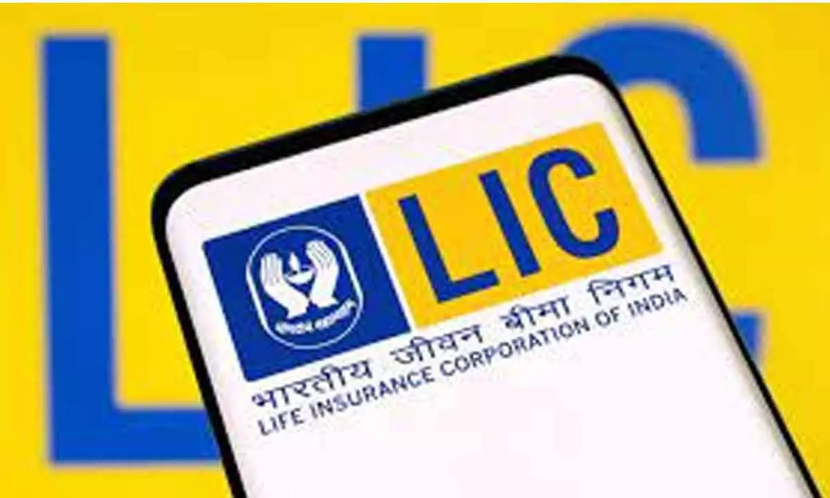 LIC sells over 2 per cent stake in Sun Pharma for Rs 4,699 crore