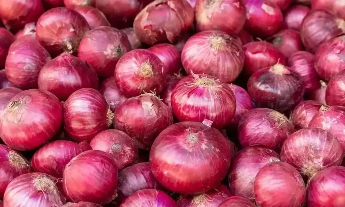 Centre sets $800/tonne price for onion exports