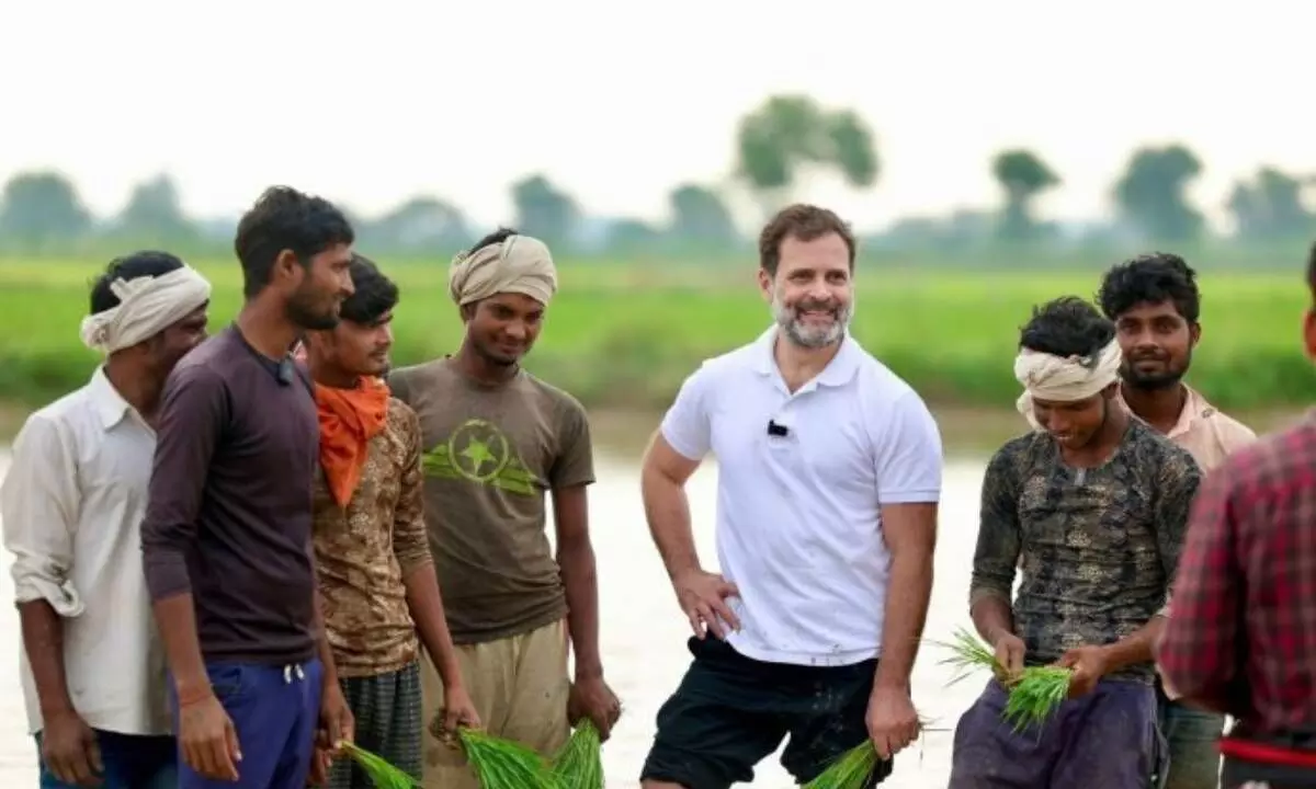 Rahul Gandhi