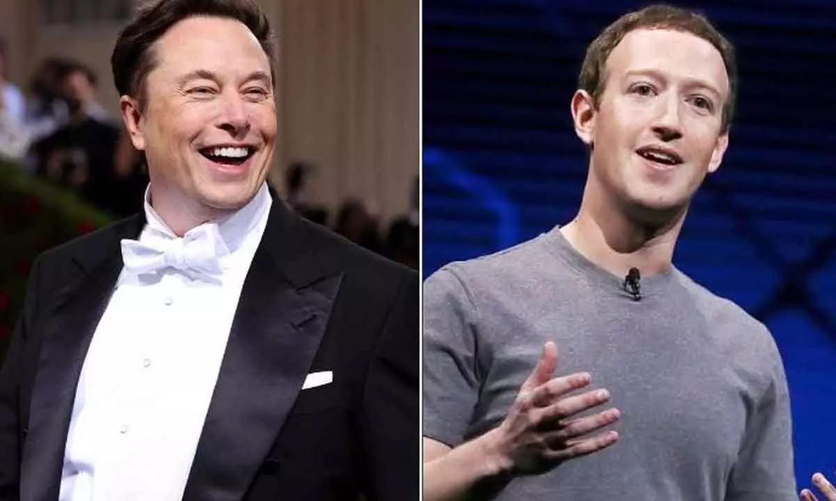 Musk mocks Zuckerberg