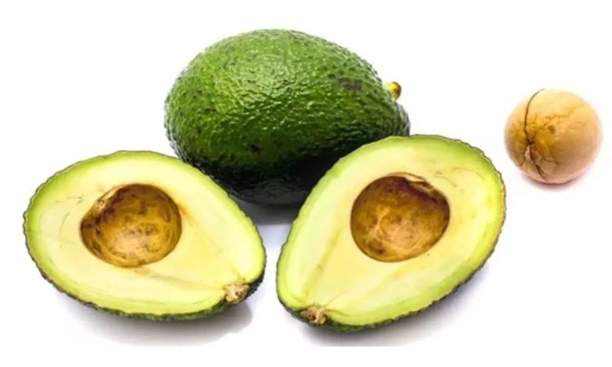 Conquer obesity with the miraculous avocados