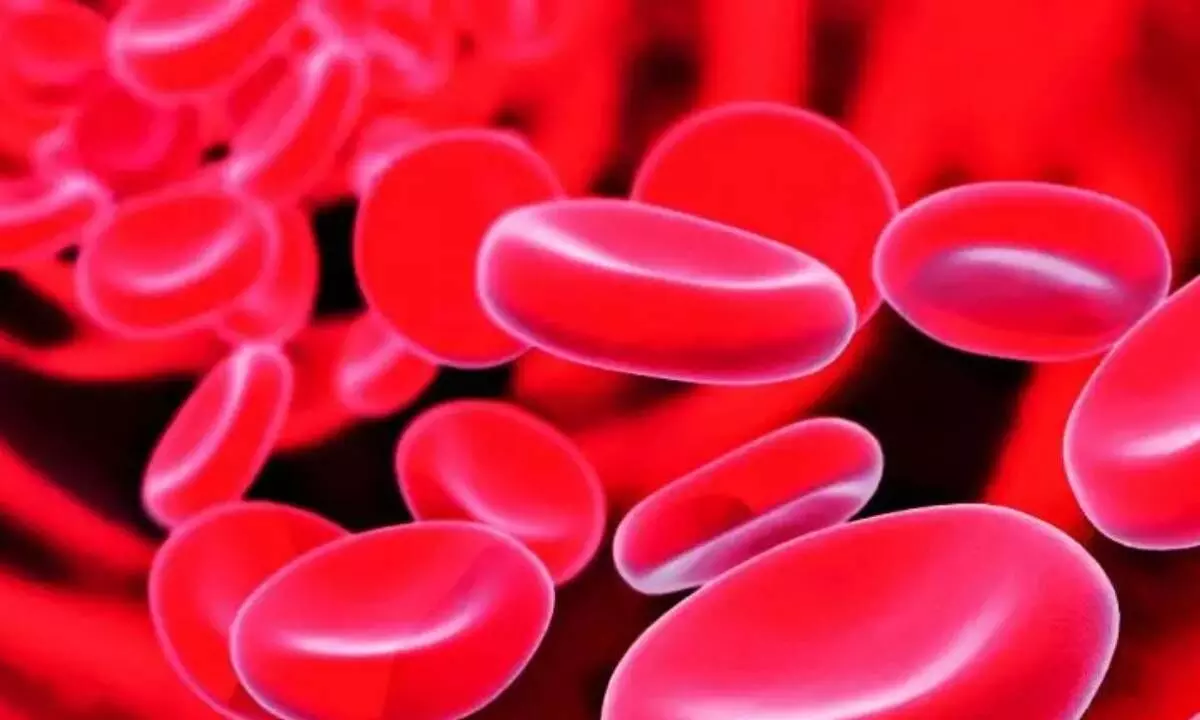 TSCS, Marham host meet on thalassemia TSCS, Marham host meet on thalassemia