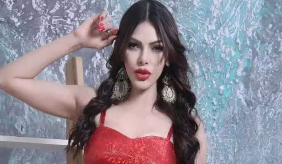 Sherlyn Chopra Jaw dropping saree styling with a bold top leave viewers in awe!
