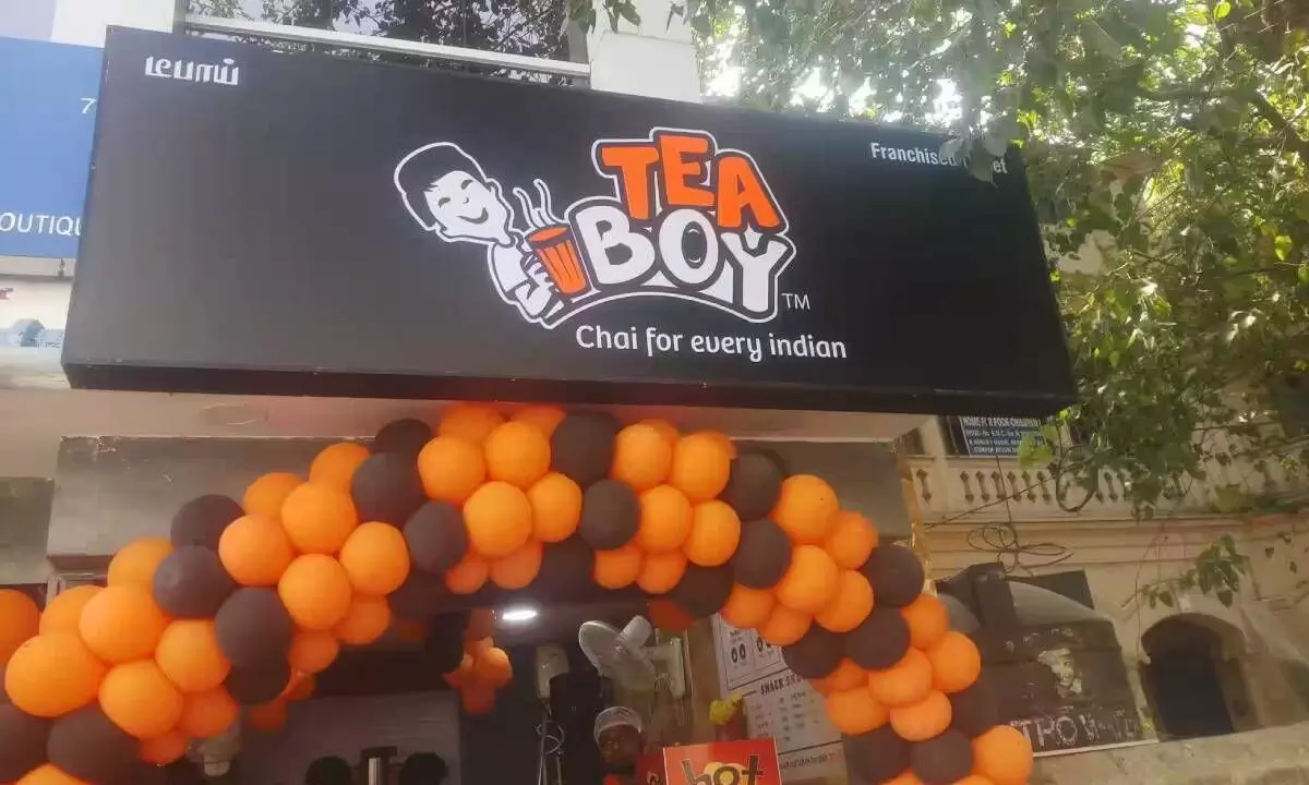 TeaBoy