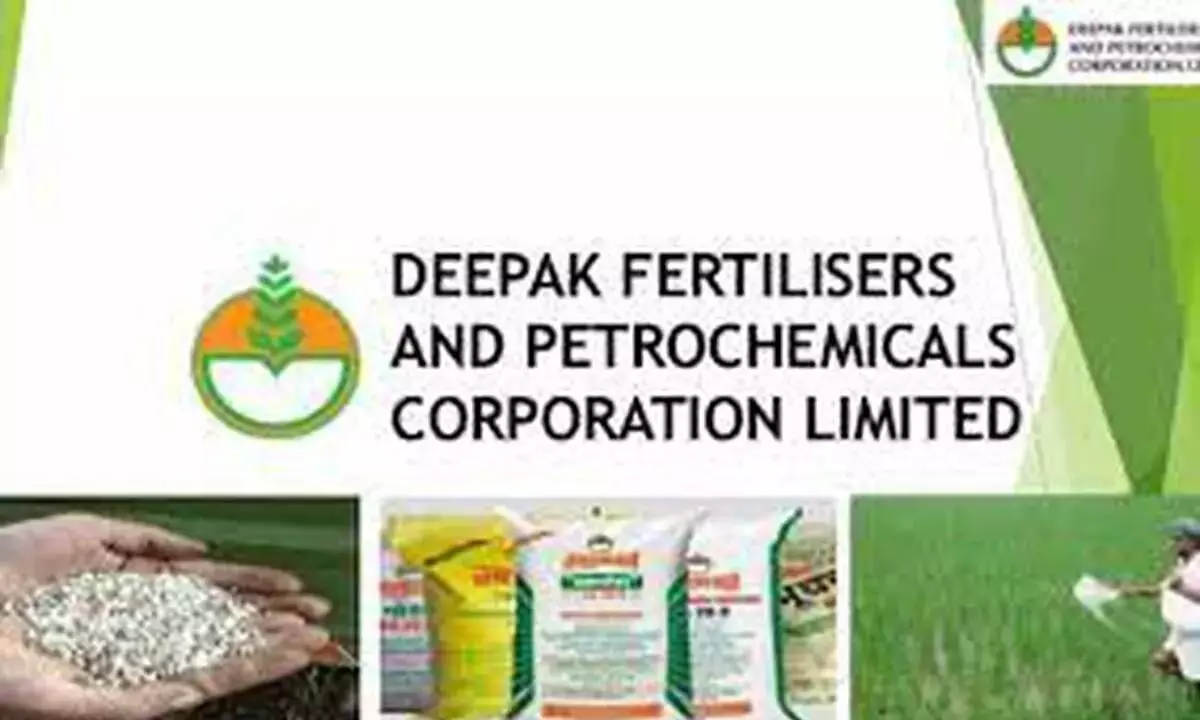 DFPC profit down 74% DFPC profit down 74%