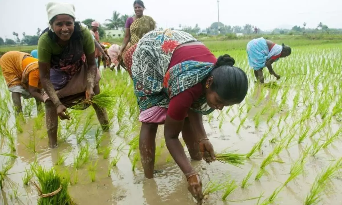 Farmer-friendly 10k FPOs in progress now