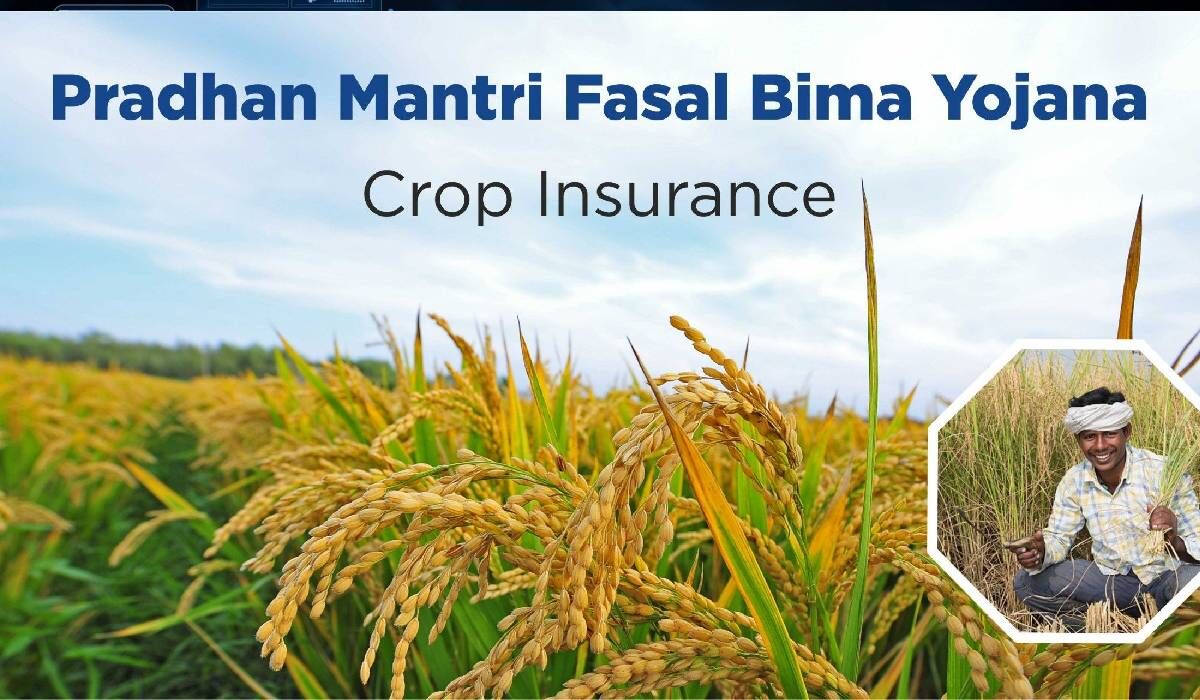 `2,761cr crop insurance claims pending till FY22