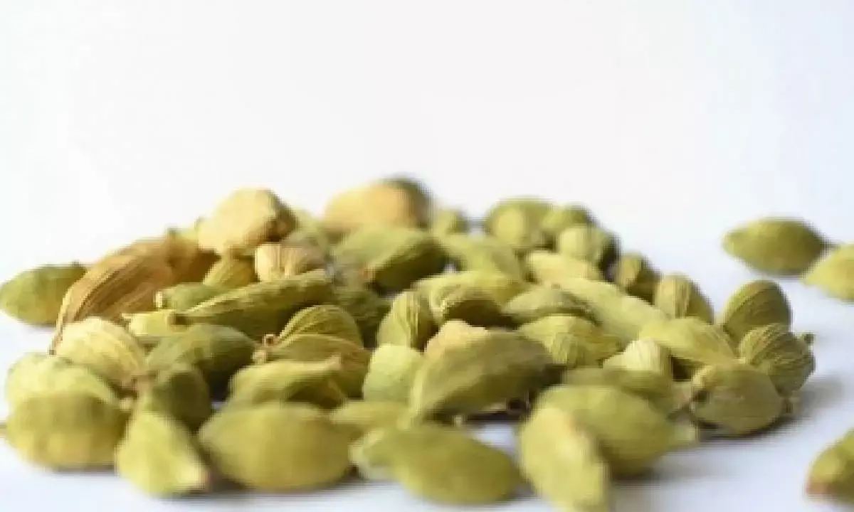 Superfood cardamom may increase appetite, burn fat: Study