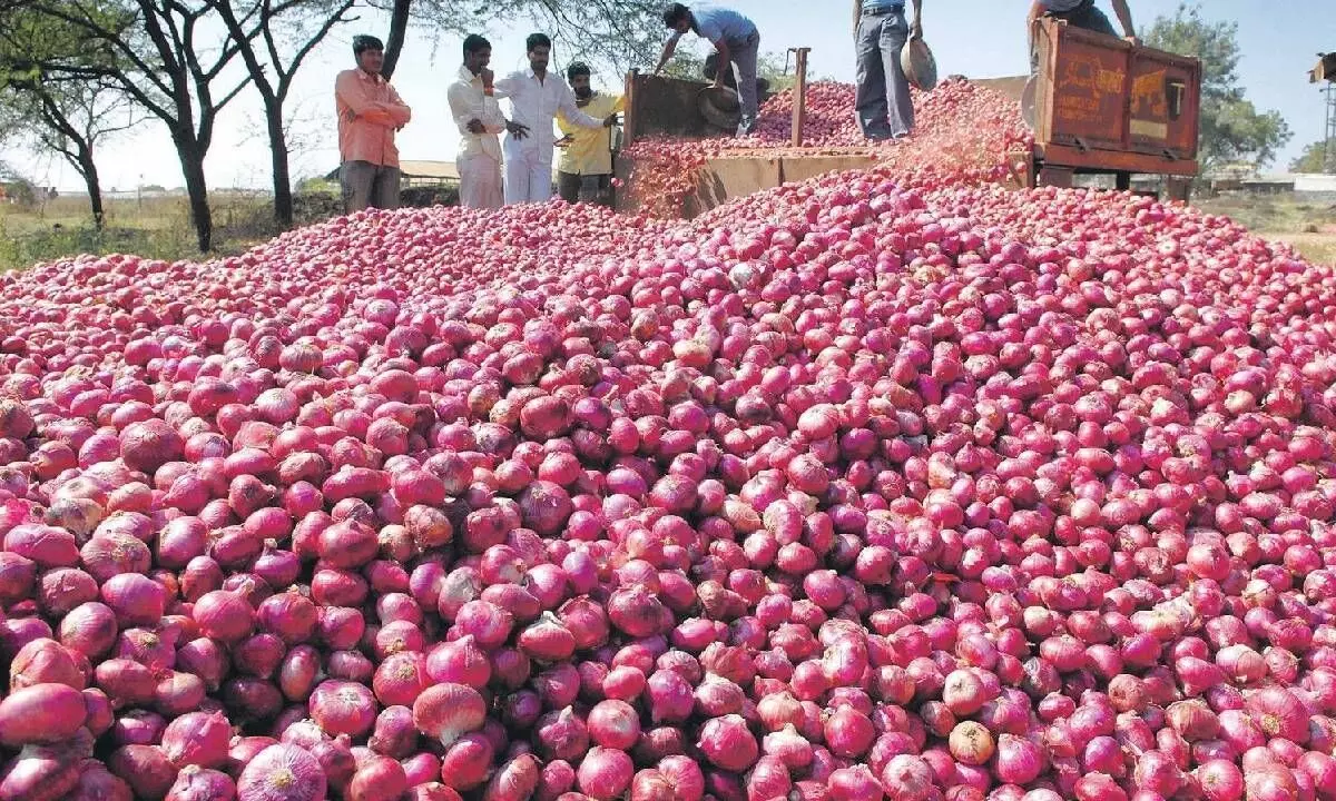 Onion prices hit the sky in UP