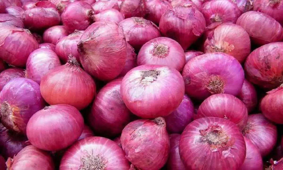 Onions