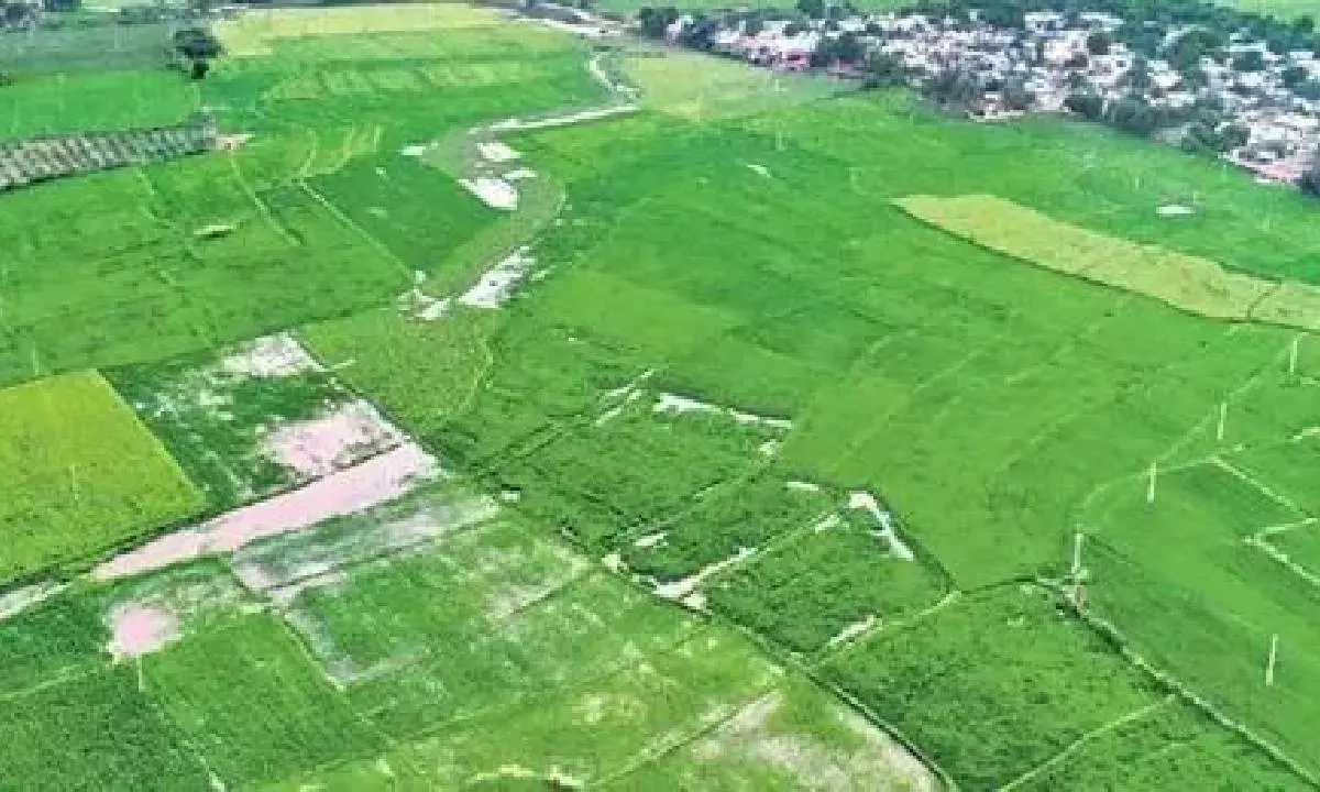 Telangana’s cultivated area nearly doubled in 9 yrs: Govt