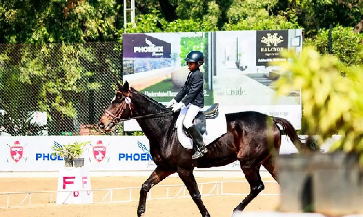 16th Horse show concludes in Hyd