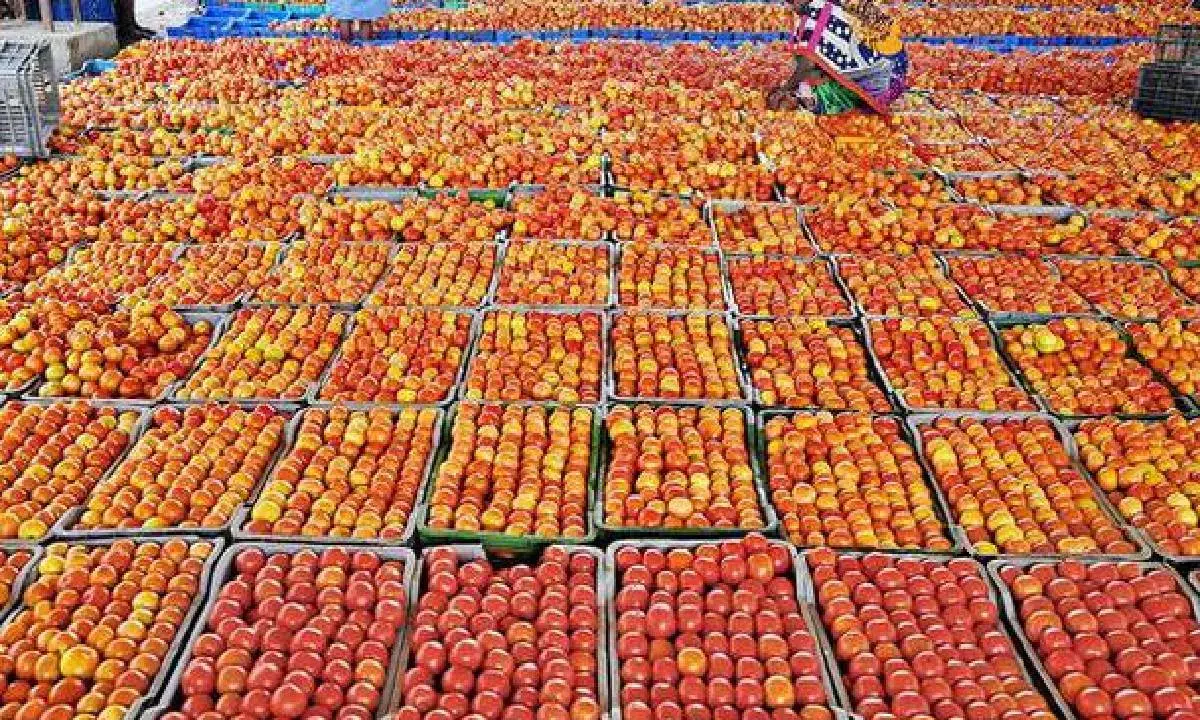 Tomatoes imported from Nepal