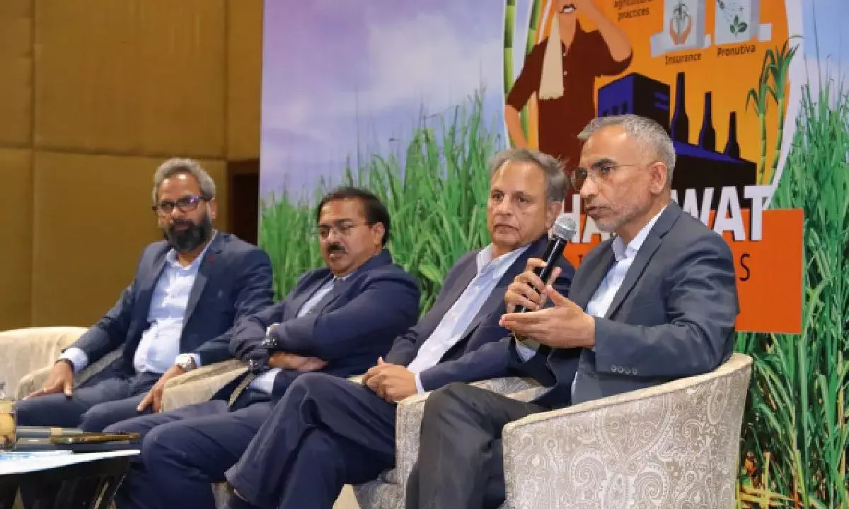 NSL Sugars eyes 50 lakh tonne cane crush in 2 yrs