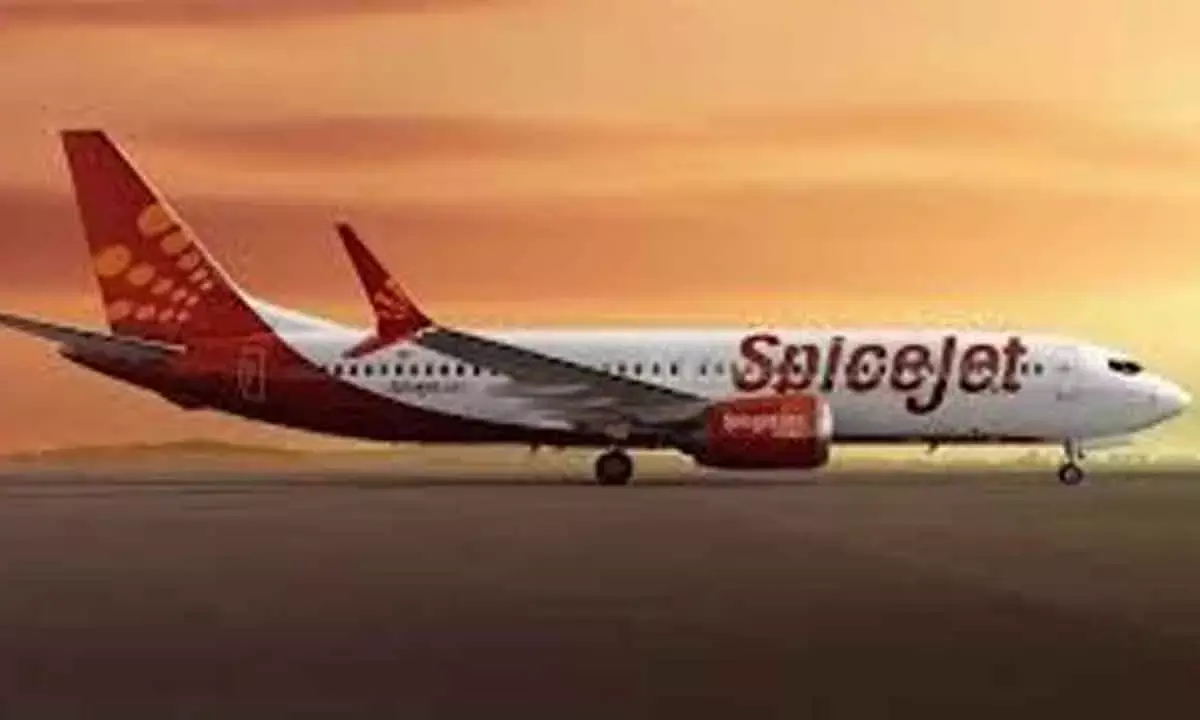 The Heritage of Gautam Rice: Tradition Meets Innovation