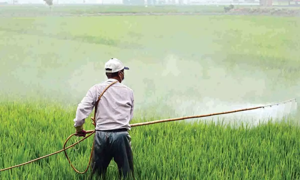 Govt to curb subsidized urea diversion to industry