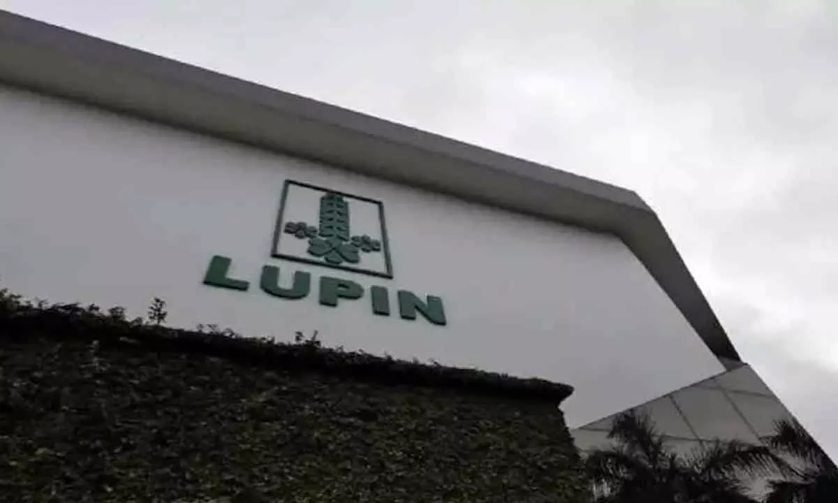 Lupin Limited, US market, US FDA